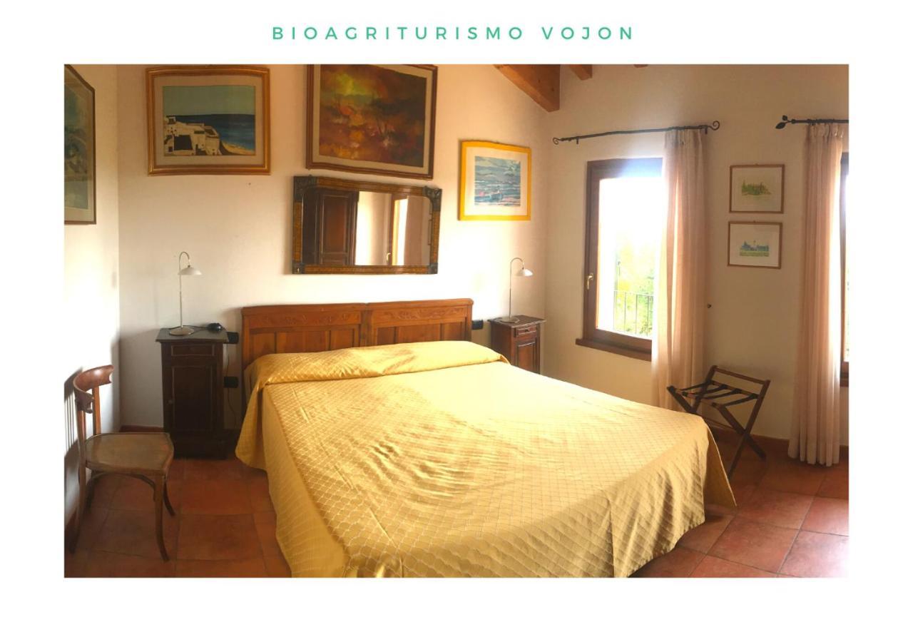Bio Agriturismo Vojon Ponti sul Mincio Exteriér fotografie
